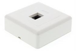 Seinärasia, pinta-asennettava UTP 1xRJ45, Cat6, valkoinen
